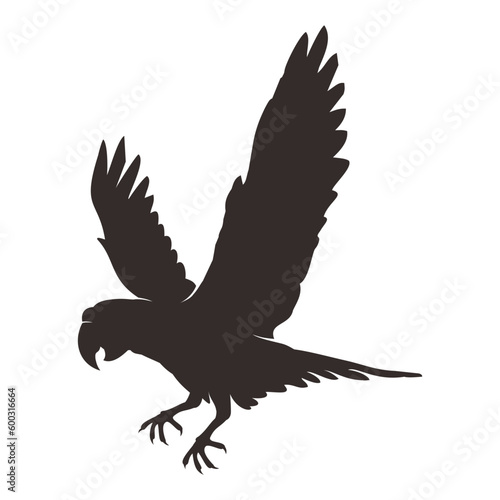parrot