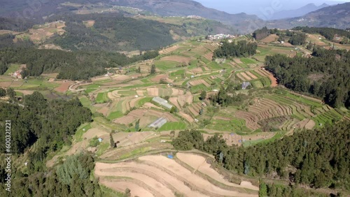 Panoramic View of Poondi Village Rice Terraces, Green Field Paddies Aerial Drone Shot, Flying Above Farming Area of Southern India photo