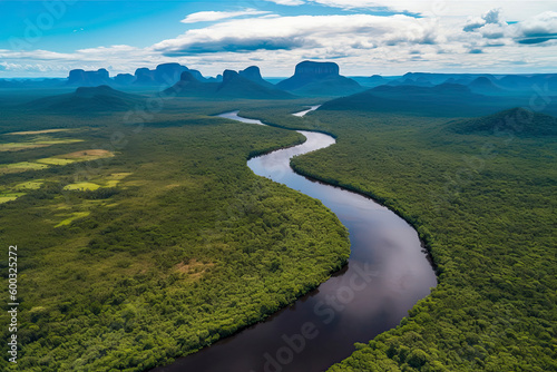 View from above, stunning aerial view of a river flowing through a green tropical forest