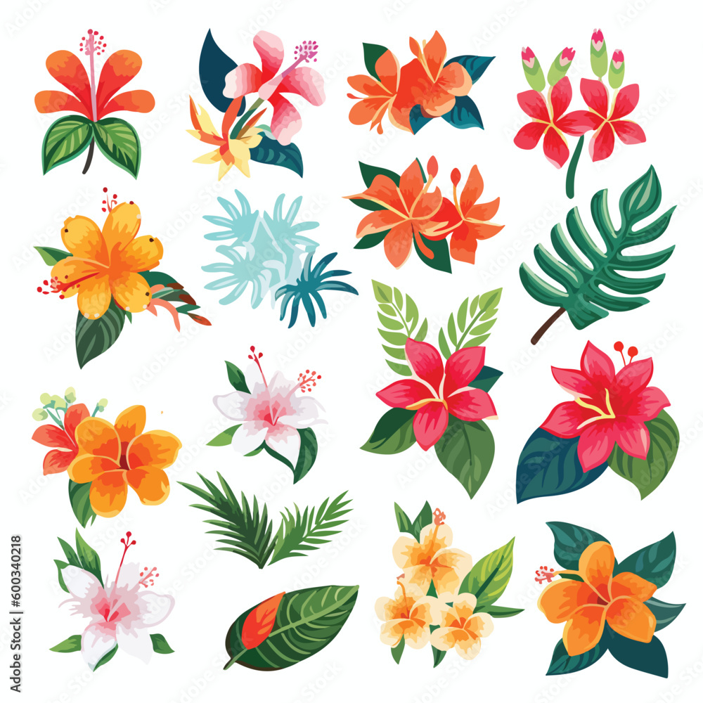 hawaiian flower leaf summer hawaii tropical floral nature vector hibiscus illustration plant aloha decoration - obrazy, fototapety, plakaty 