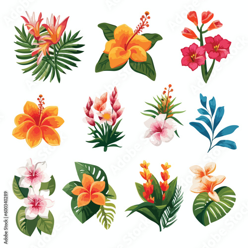 hawaiian flower leaf summer hawaii tropical floral nature vector hibiscus illustration plant aloha decoration