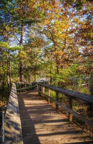 Boardwalk at Great Falls Park  National Park Service site in Virginia