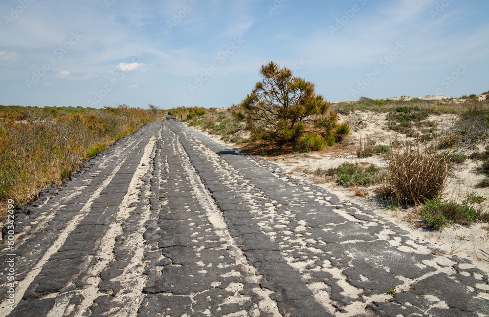 Naklejka premium Baltimore Boulevard at Assateague Island off the coasts of Maryland and Virginia