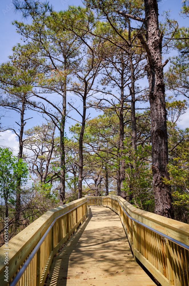 Boardwalk at Assateague Island off the coasts of Maryland and Virginia