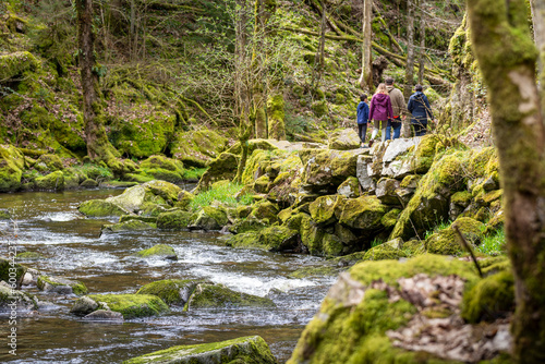 Fényképezés Famille en promenade le long d'une rivière en pleine forêt vosgienne