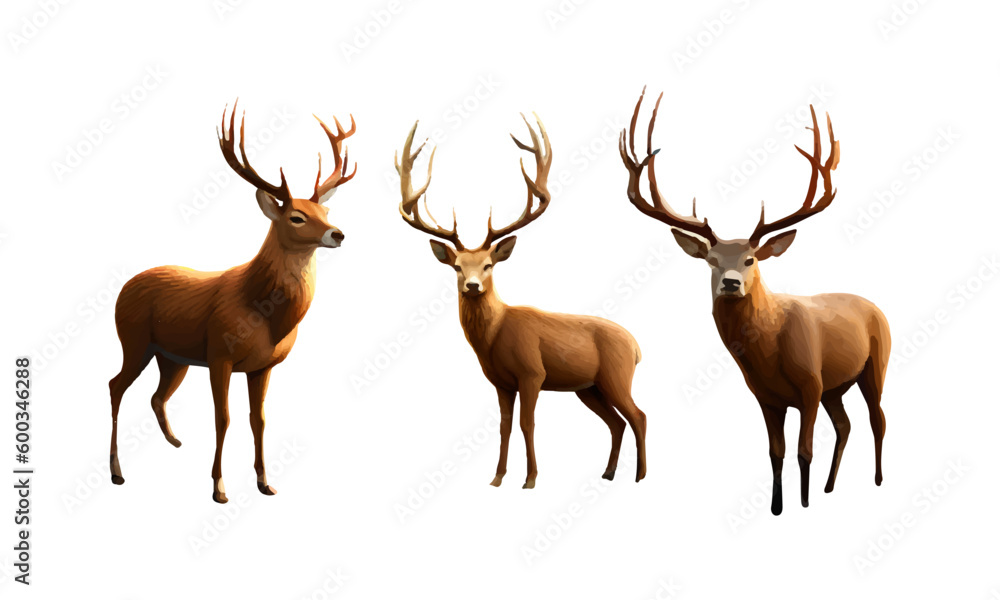 Obraz premium vector illustration of deer