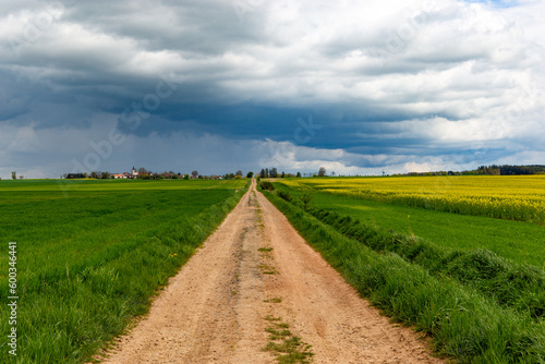 A dirt road among spring fields.