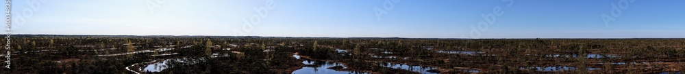 latvia, natural swamp park in Kemeri