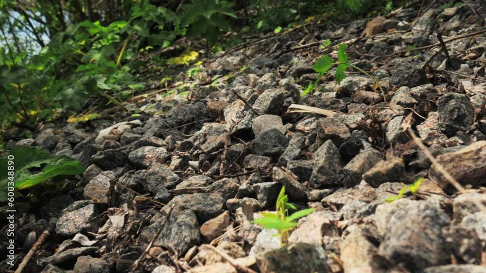 granite stones in nature, crushed granite on a natural background, the camera moves over the granite stones. Red granite in nature granite stones in nature, crushed granite on a natural background, the camera moves over the granite stones. Red granite in nature