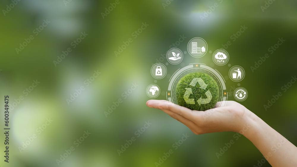 Sustainable advertising: Strategies to reduce carbon footprint