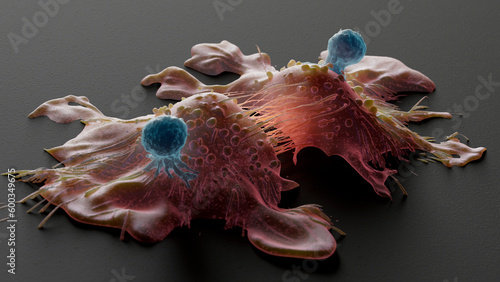 CAR-T cell therapy, illustration photo