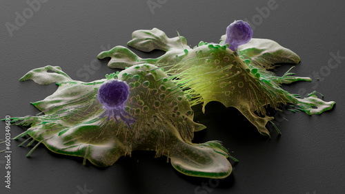 CAR-T cell therapy, illustration photo
