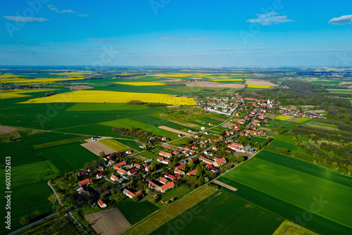 Colorful agriculture fields in spring. Village near blooming rapeseed fields and green meadows, aerial view. Natural background