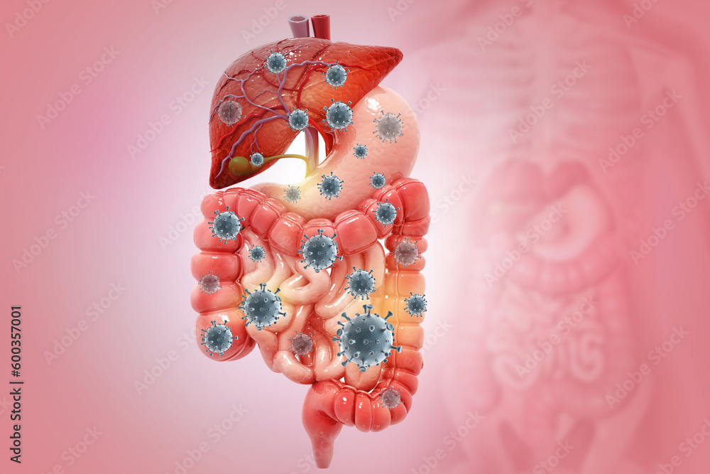 Human digestive system infected by virus and bacteria. 3d illustration