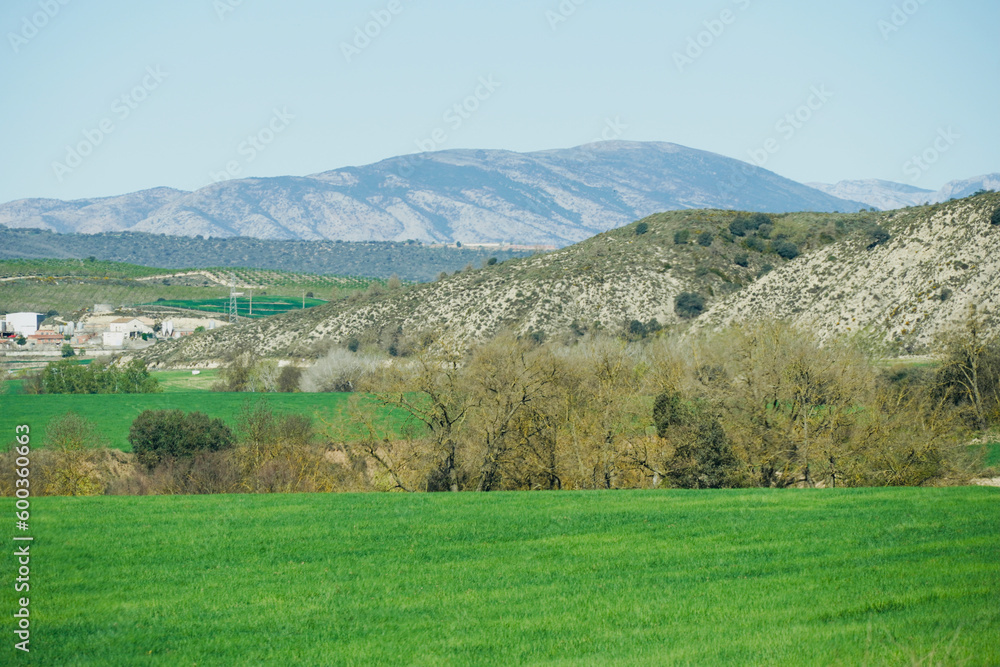 Spring green meadows and mountain in the background in Lleida, Spain.
