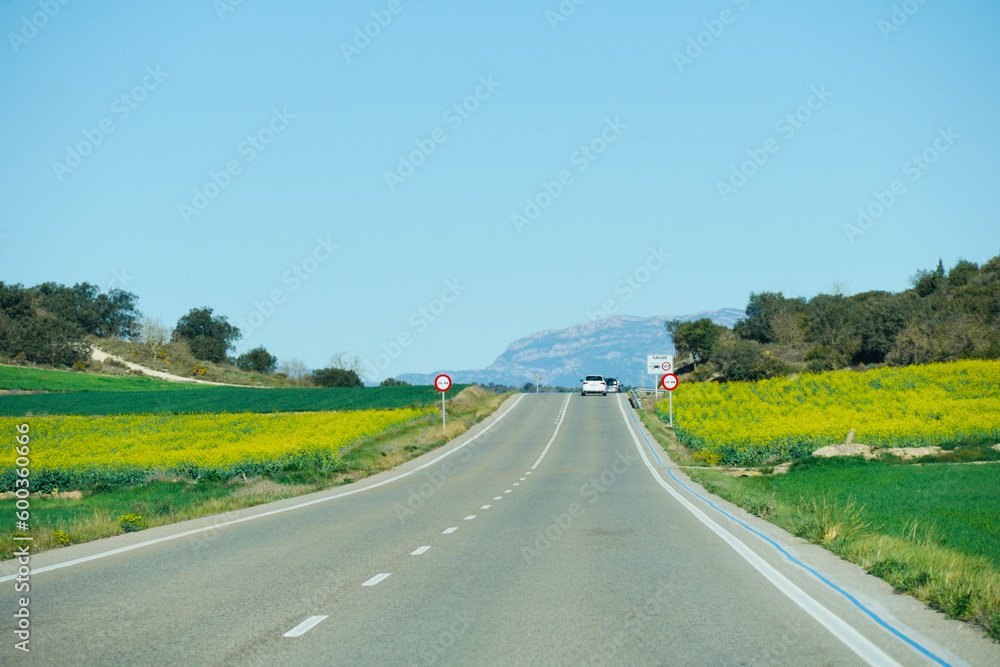 Road in Lleida, Catalonia, Spain. Spring meadows with yellow flowers and mountain in the background in Lleida, Spain. 