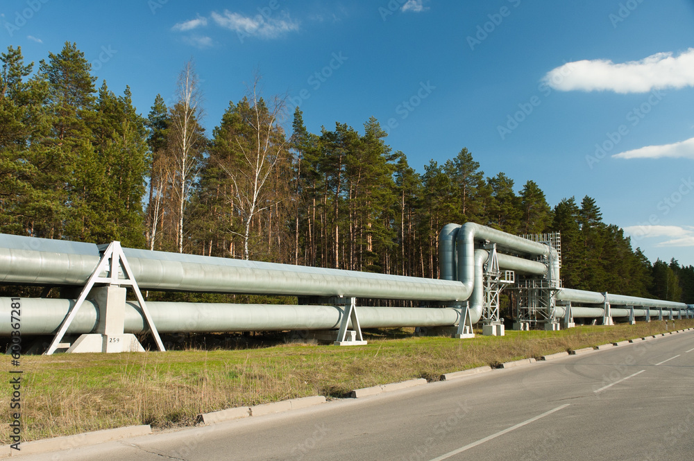 pipeline and road, forest and blue sky in the background pipeline and road, forest and blue sky in the background