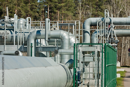 pipeline close-up behind the background of the forest