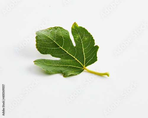 Foto one fig leaf on white background