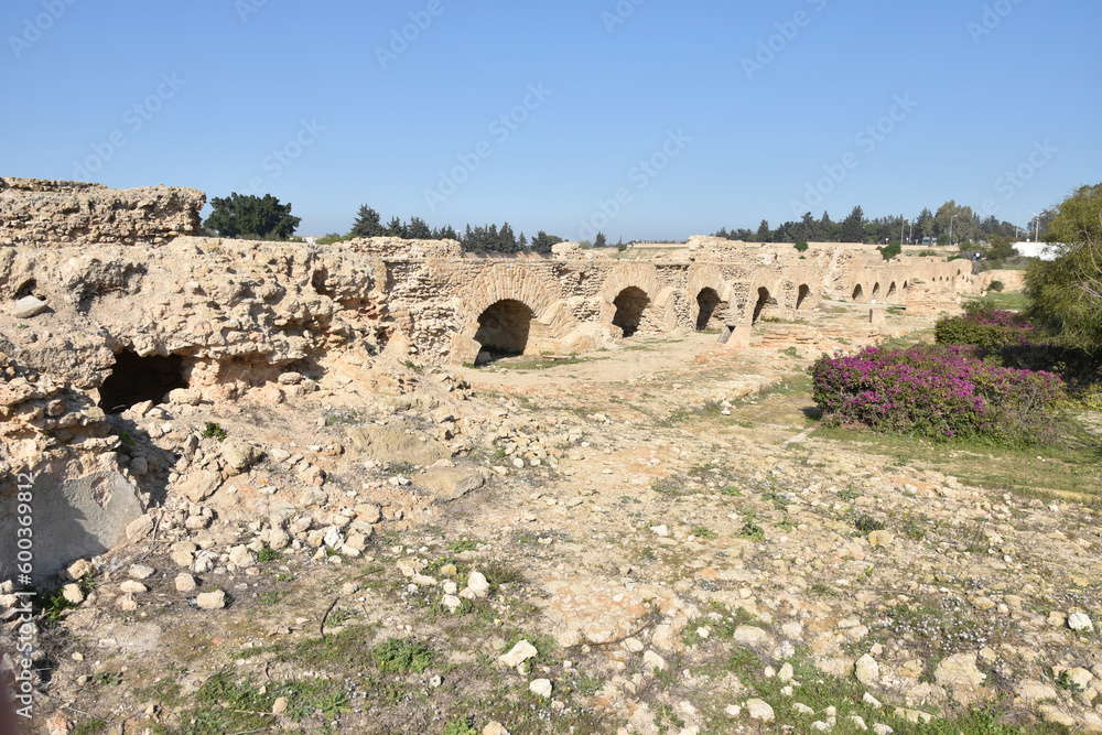 Wide View of Carthage Roman Aqueduct Ruins 2