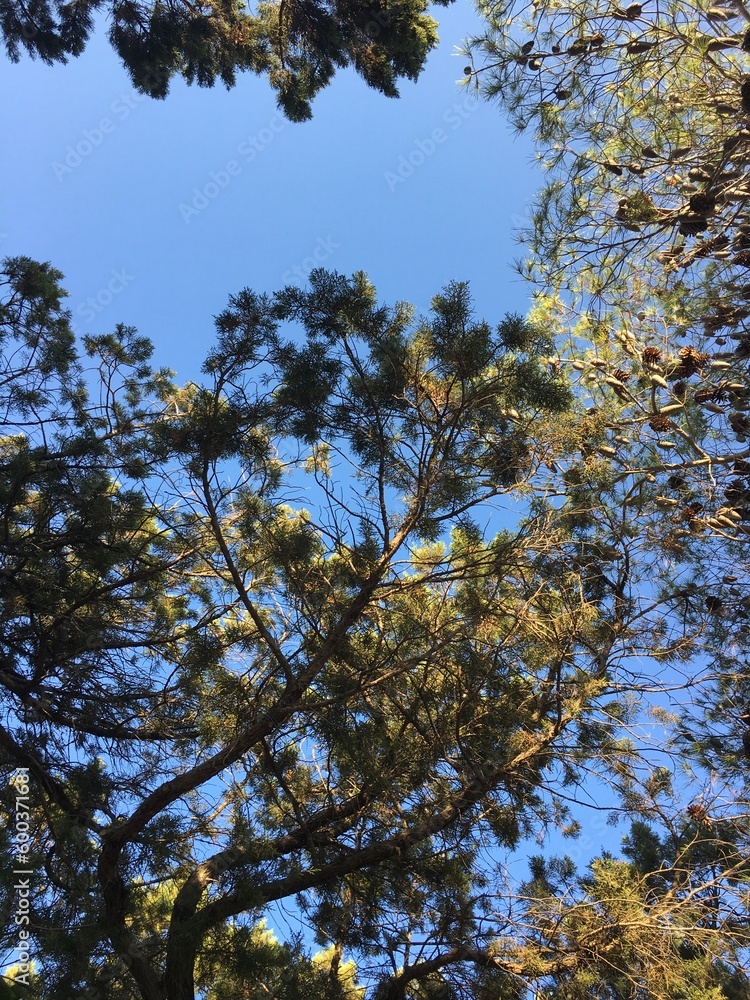 Obraz premium d'en bas