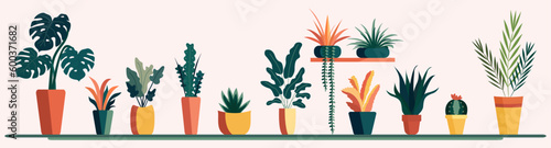 Flower set, drawn house plants, potted flowers. Template for design decoration. Vector illustration