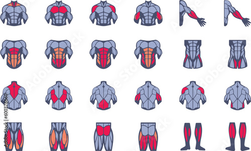 Muscles illustration icon set. It included the workout, human body parts, anatomy, and more icons.