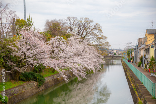 Photography Kyoto