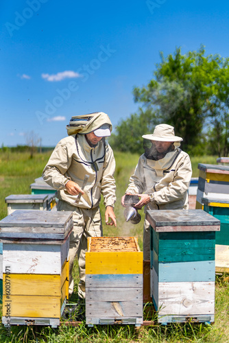 Beekeepers working with honeycombs. Agriculture honeybee farming.