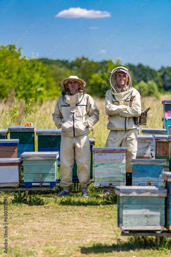 Honey farming workers in apiary. Beekeeping person in protective suit and mask. Honey farming workers in apiary. Beekeeping person in protective suit and mask.
