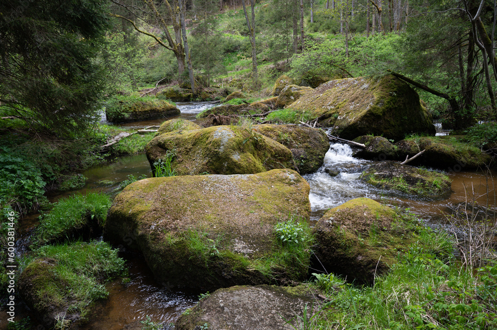 Naturbelassenes Bachbett des Kleinen Kamp