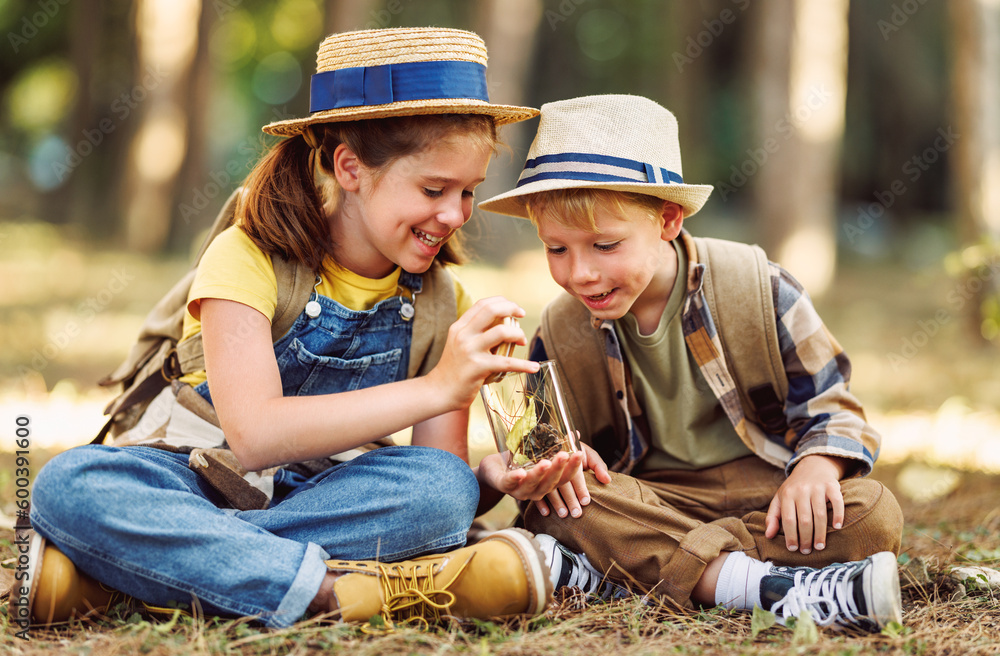 Obraz premium Two little kids with backpacks examine plants and collect herbarium in a glass jar in forest