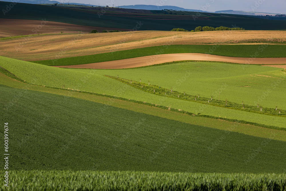 Stripe patterns on fields of South Moravia, green and yellow fresh spring colors. Stripe patterns on fields of South Moravia, green and yellow fresh spring colors.