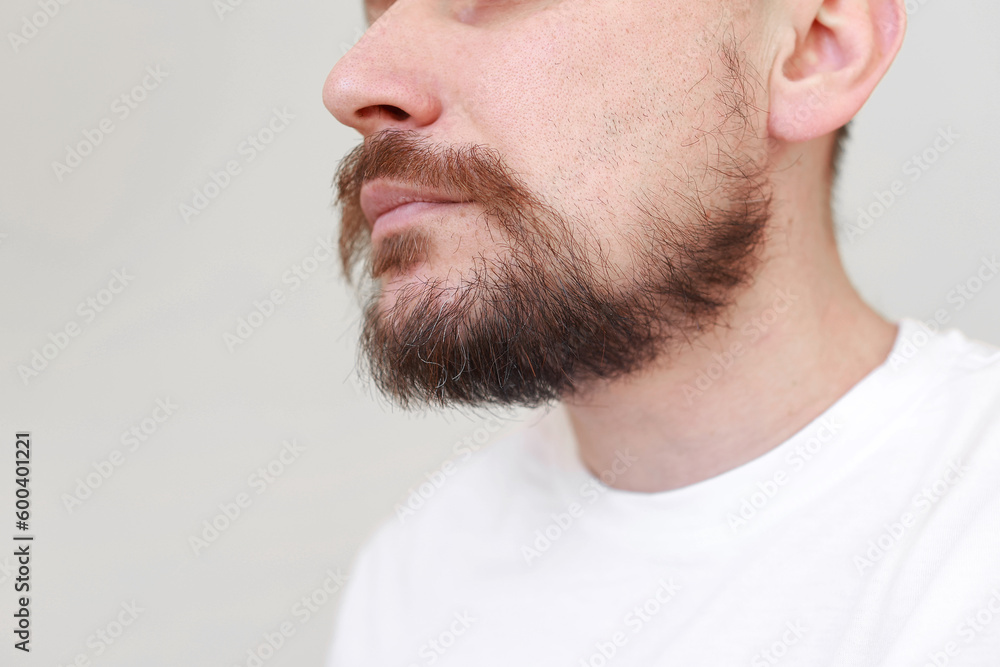 Cropped photo of bearded man first gray hairs on overgrown shaggy beard