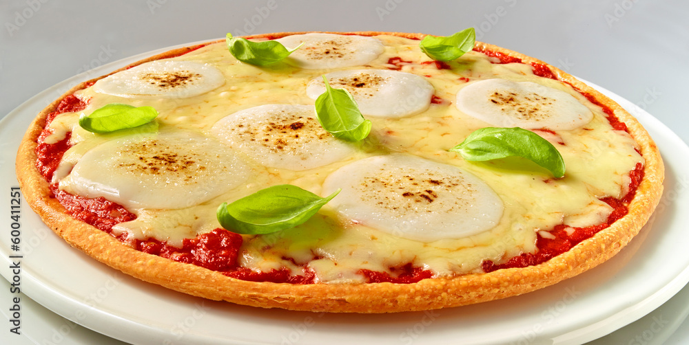 Pizza Tomate Mozzarella mit Basilikum Pizza Tomate Mozzarella mit Basilikum