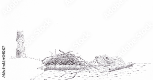 Illustration of a beaver making a damn