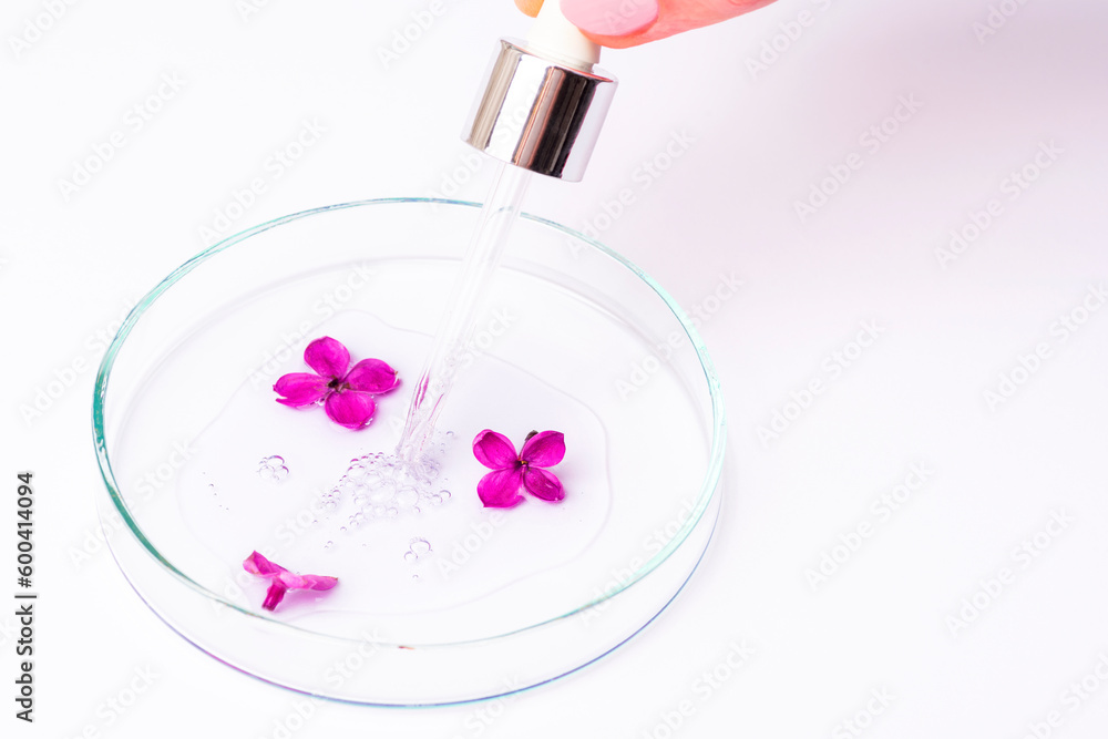 Closeup of pipette with serum, oil, gel with lilac flowers on white background. Skin care, natural beauty products concept. Closeup Closeup of pipette with serum, oil, gel with lilac flowers on white background. Skin care, natural beauty products concept. Closeup