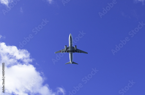 真っ青な青空と飛行機のお腹。青空に白い機体がよく映える。