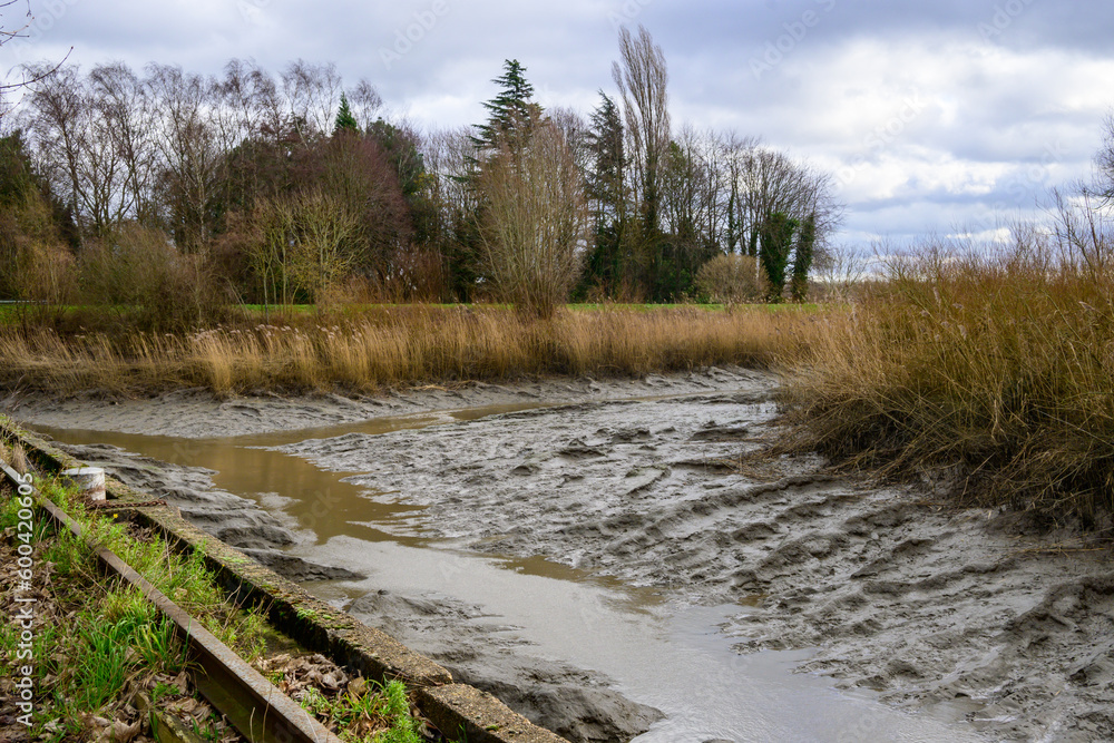 Low water in the river : The Scheldt in Antwerp