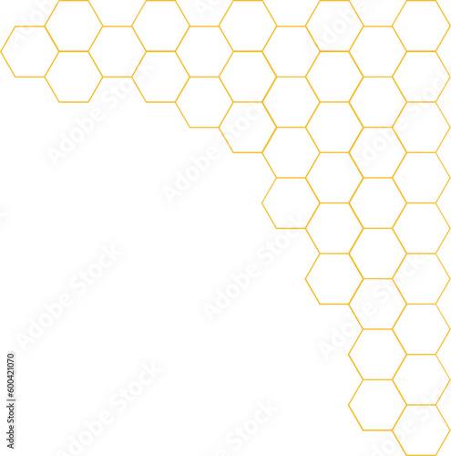 Bee Honeycomb