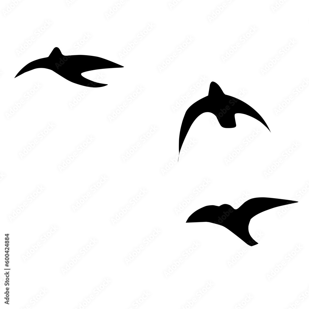 Naklejka premium Bird Silhouette 