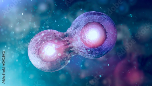 Cell embryo, Mitosis under microscope. 3D illustration
