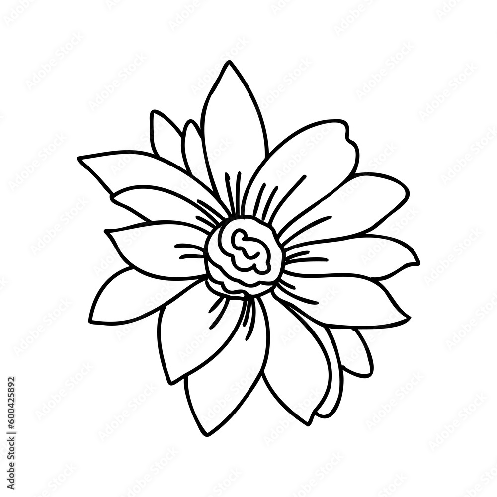 Doodle art flowers. Hand-drawn herbal design elements. Doodle art flowers. Hand-drawn herbal design elements.