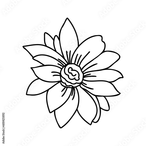Doodle art flowers. Hand-drawn herbal design elements.
