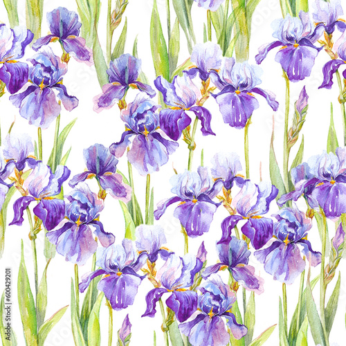 Summer meadow iris flowers watercolor seamless pattern on white background