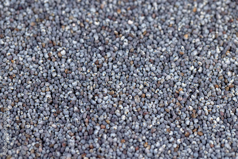 a close-up of a pile of poppy seeds used in cooking a close-up of a pile of poppy seeds used in cooking