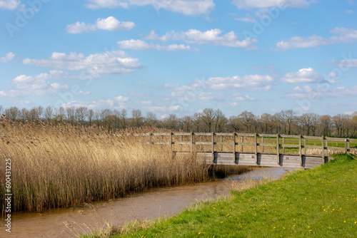 Spring countryside landscape with flat and low land, Typical Dutch polder with green meadow and wooden bridge with blue sky, Small canal or ditch between the grass field, Drenthe province, Netherlands