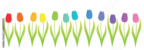 Colorful tulips, rainbow gradient set of twelve colorful flowers in a row. Isolated vector illustration on white background.
