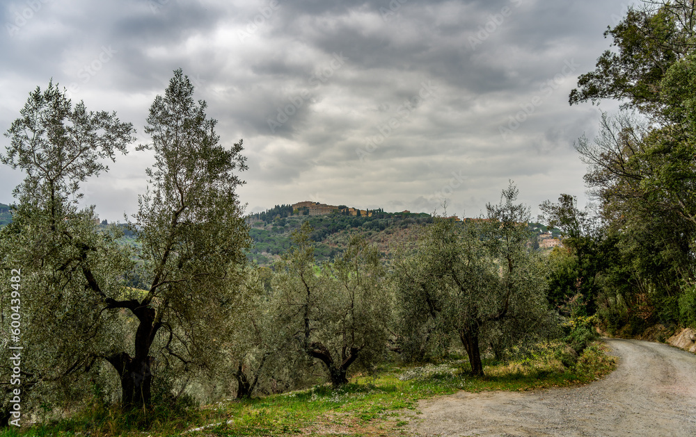 Landscape in the Tuscan countryside in the background the village of Castagneto Carducci Tuscany Italy