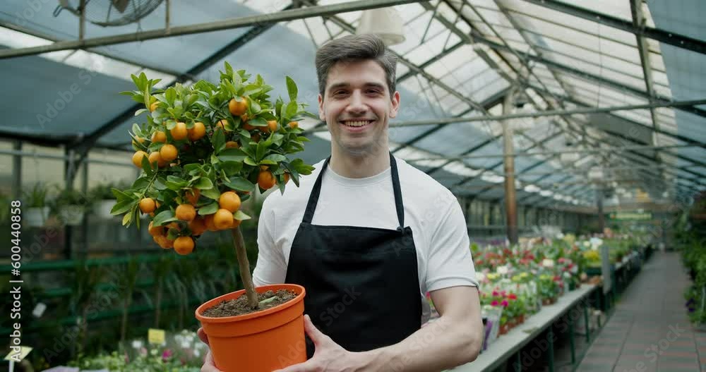 A young guy worker in a specialized flower shop holds a pot with a small tree of oranges in his hands. Green Living: Care Tips for Your Indoor Orange Tree with a Horticulture Expert A young guy worker in a specialized flower shop holds a pot with a small tree of oranges in his hands. Green Living: Care Tips for Your Indoor Orange Tree with a Horticulture Expert